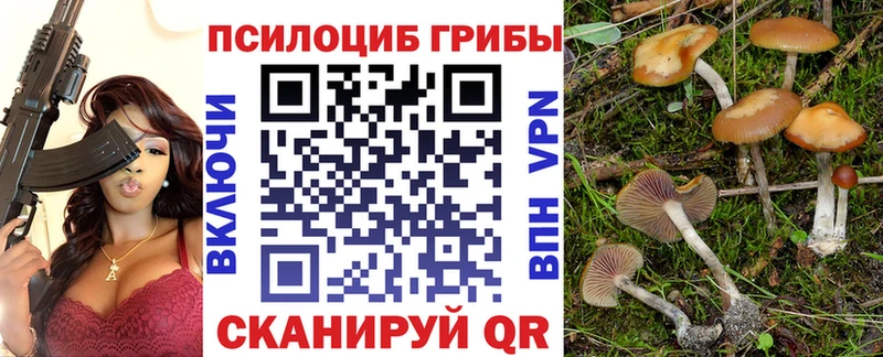 Псилоцибиновые грибы мухоморы  цены   Обь 