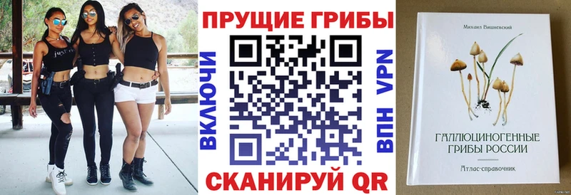 Псилоцибиновые грибы мухоморы Обь